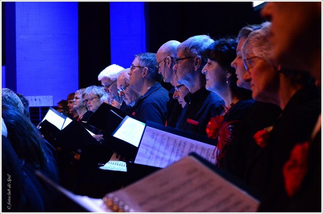  Bende van Beuving   024.JPG 